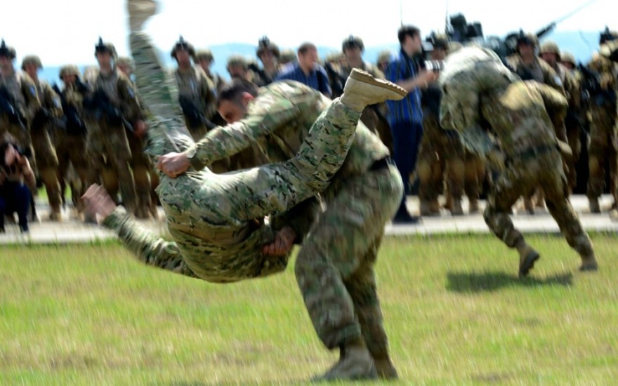 ქართულ-ამერიკული ერთობლივი სამხედრო სწავლება (Noble Partner 2015)